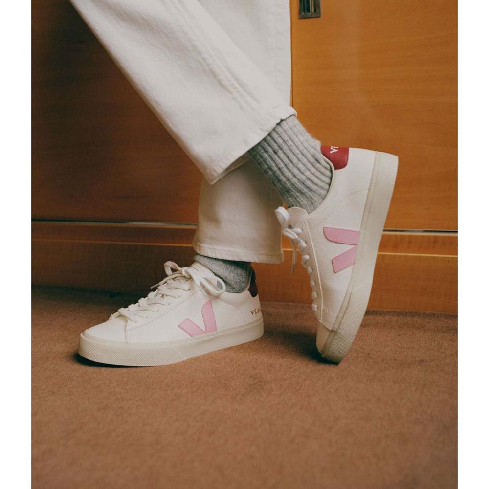 Veja CAMPO CHROMEFREE Low Tops Sneakers Heren White/Pink | BE 193WNB